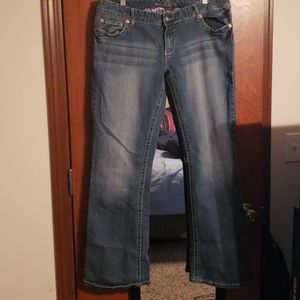 Maurices Bootcut Jean's